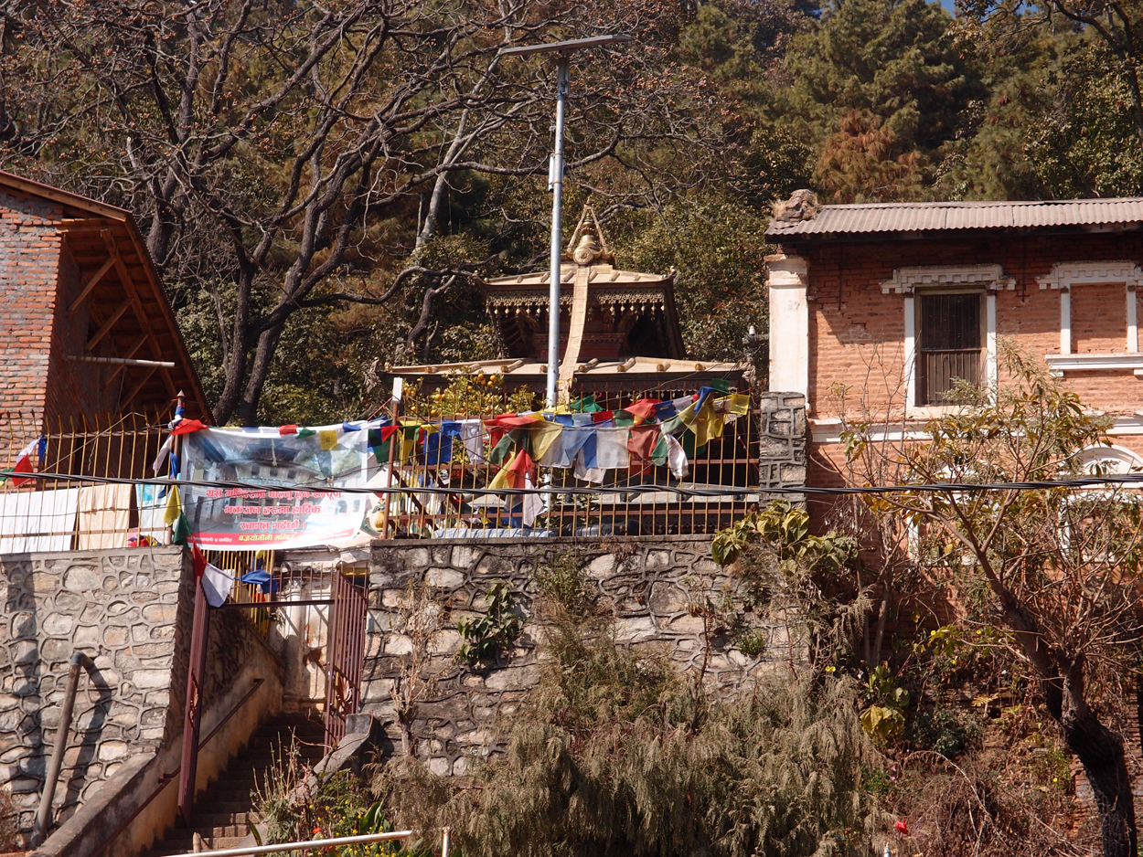 2018-01-23 10 Uhr - Pharping (Audio, Foto, Video) 